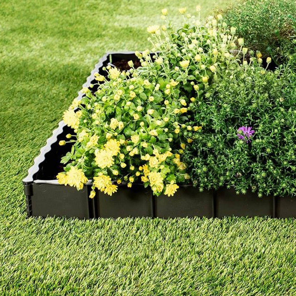 Edgar Lawn Edging
