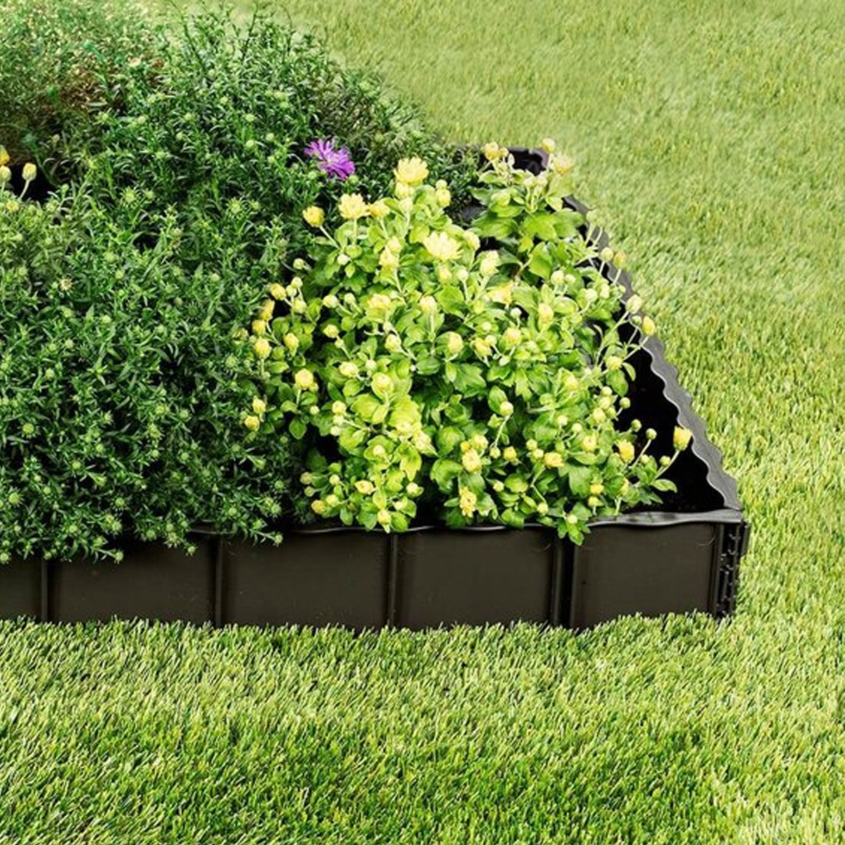 Edgar Lawn Edging