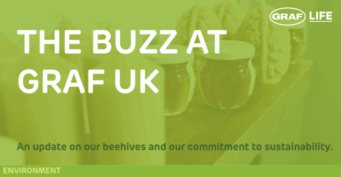 GRAF UK sustainability and beekeeping